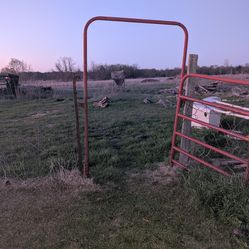 4ft Walk Through Gate
