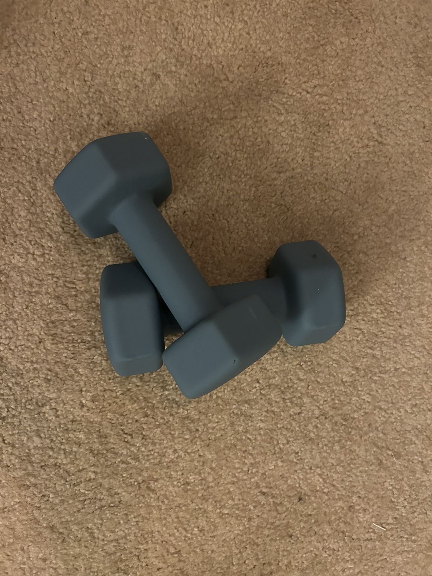 Two 10 Pound Weights!