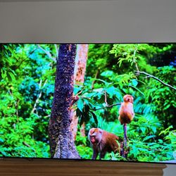 LG C3 OLED 65" (Like-new)