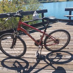 26" Giant Sedona DX 21 Speed