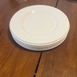 Large Dining Plates