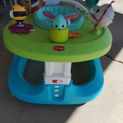 Baby Activity Walker