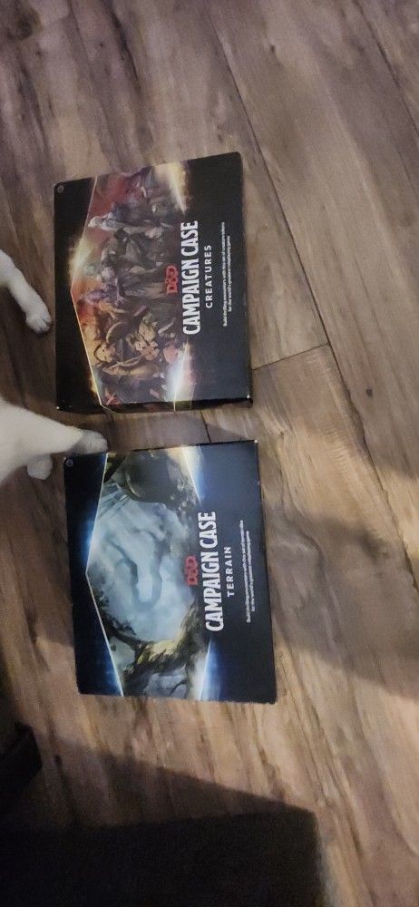 D&D Campaign Cases
