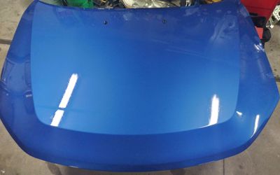 Ford Fusion Hood