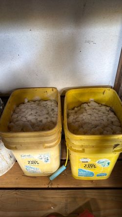 Old water softener salt (FREE)