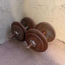 Dumbbells 