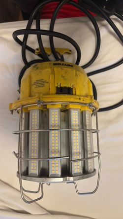 Braun portable light