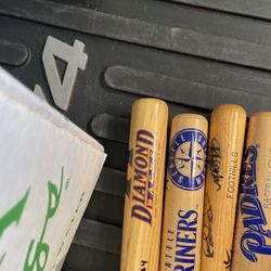 Team Mini Bats