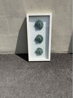 Ocean Sponge Art