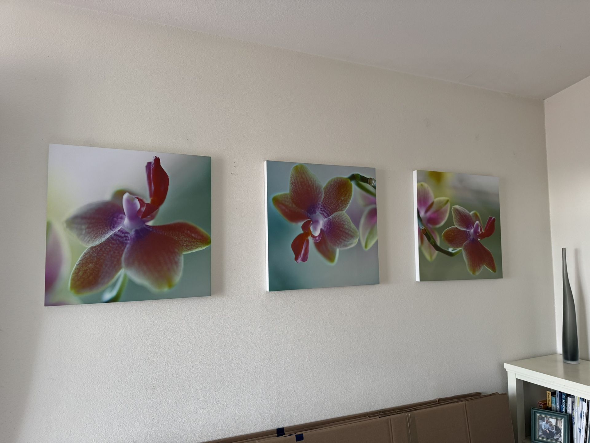 Set of 3 Canvas Orchid Pictures  