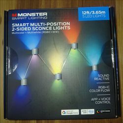 Monster Multi-Position 2-sided Sconce Light