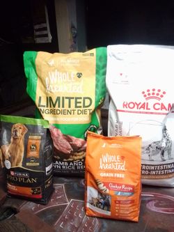 Dog food