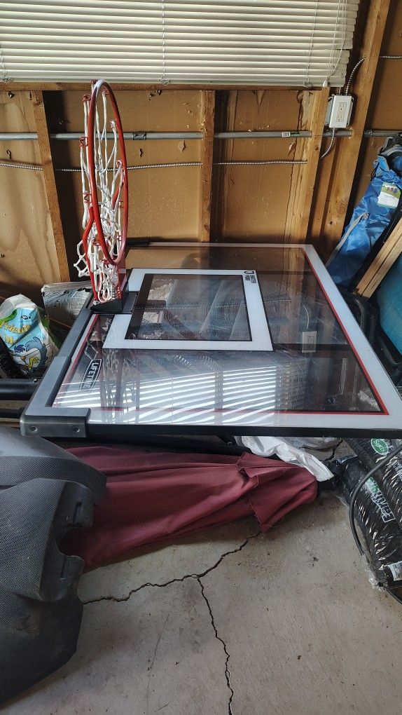 Lifetime Basketball Hoop
