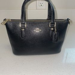Mini Coach Purse 
