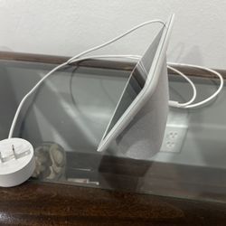 Google Nest