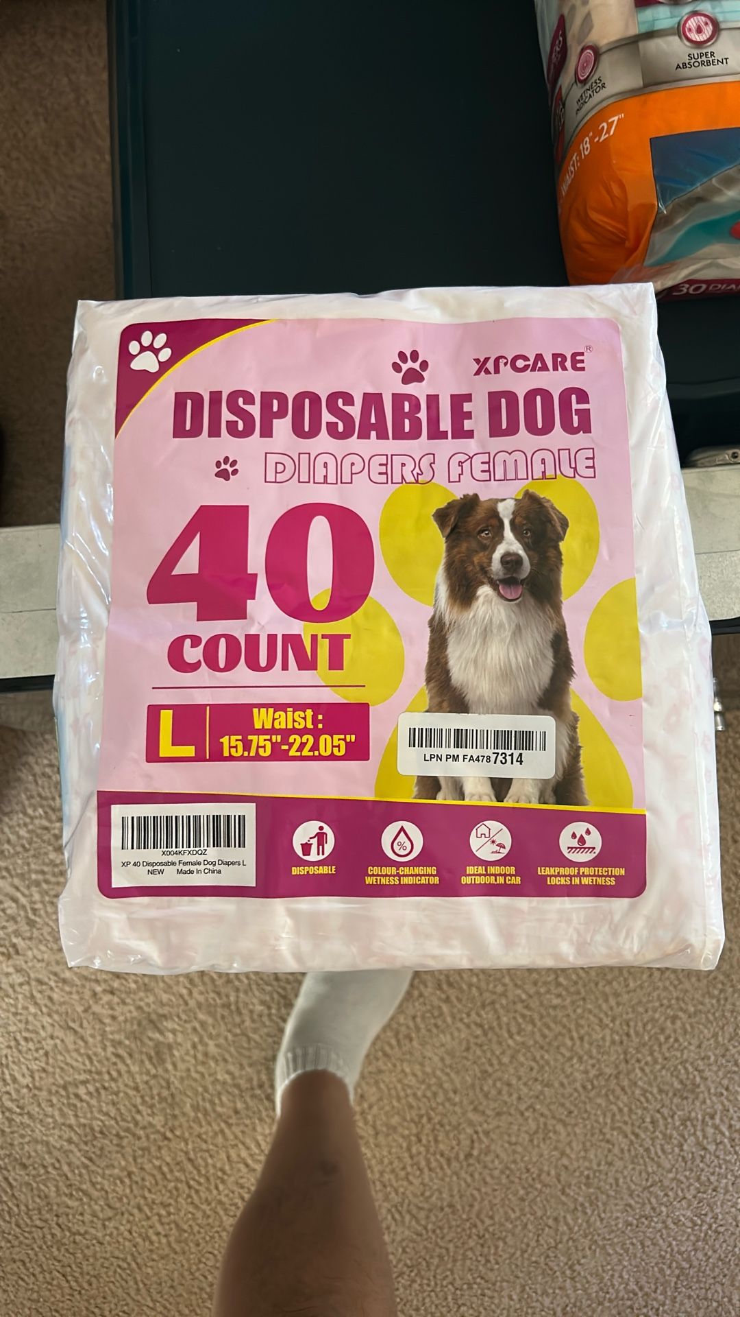 Doggie diapers