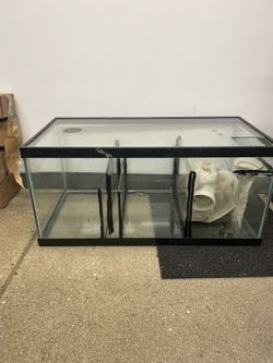 40 Gallon Breeder Sump