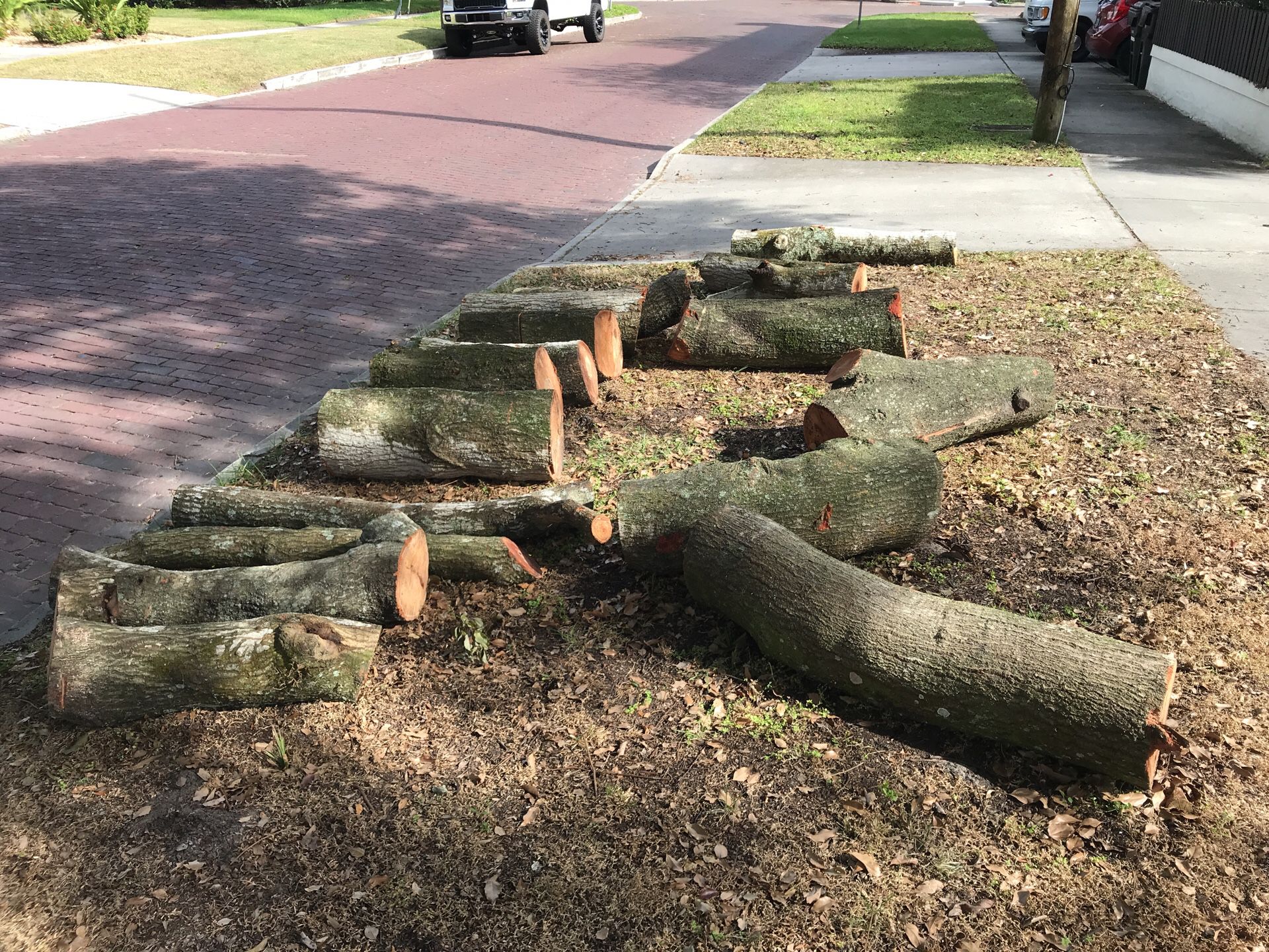 Free Oak Wood, firewood, curb alert