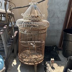 Bird Cage 