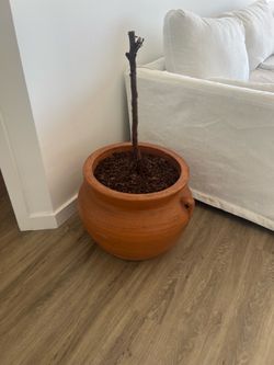 large brown pot