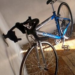 Trek 21 Gear Road Bike 