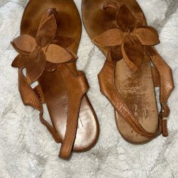 Brown Sandals 