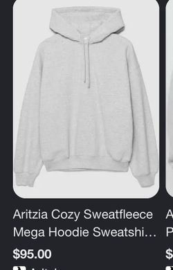 Grey Aritzia Hoodie