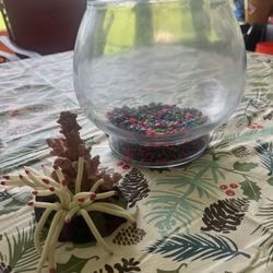 Goldfish bowl with rocks and reef. All for $10 Pick up 868 blanding blvd orange park 32065