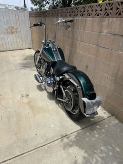 Harley softail