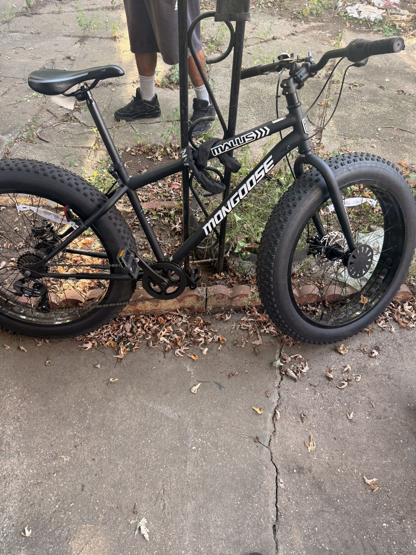 Fat Tire Bike