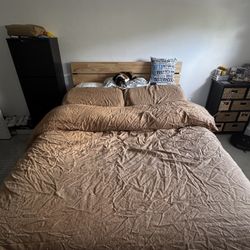 NEED GONE ASAP - Queen Size Bed Frame + Bed (Optional)