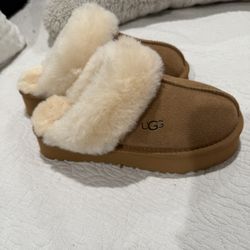 Ugg Boots Shoes