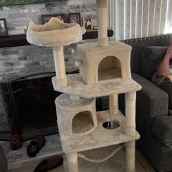Cat Condo 