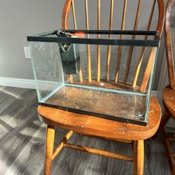 5 Gallon Tank With Filter