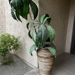 Artificial Palm with Planter