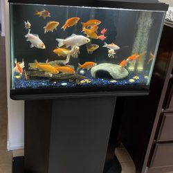 Fish tank with stand 