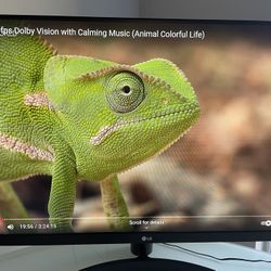 LG IPS FHD LED Display Computer Gaming MONITOR 