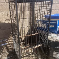 Bird Cage Almos 5’ Tall 