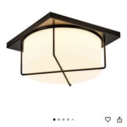 Brand New Flush Mount Ceiling Light