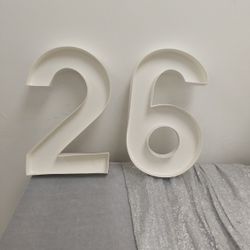 "2" And "6" Birthday Numbers