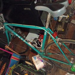 Pro Series Trek Touring Bike