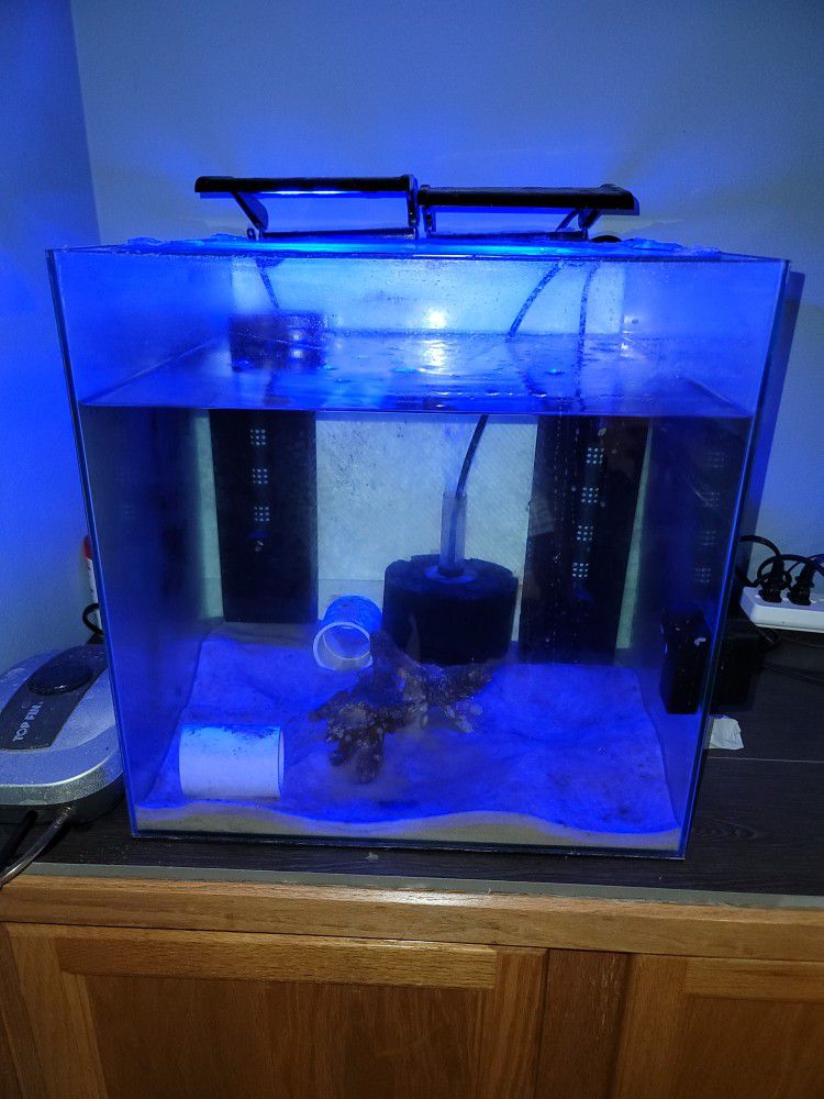 Rimless Fish Tank
