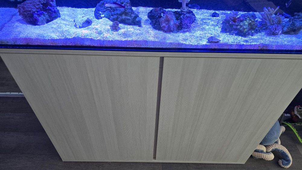 62 Tideline Lagoon