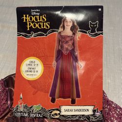 Hocus Pocus Sarah Costume Size 12-14