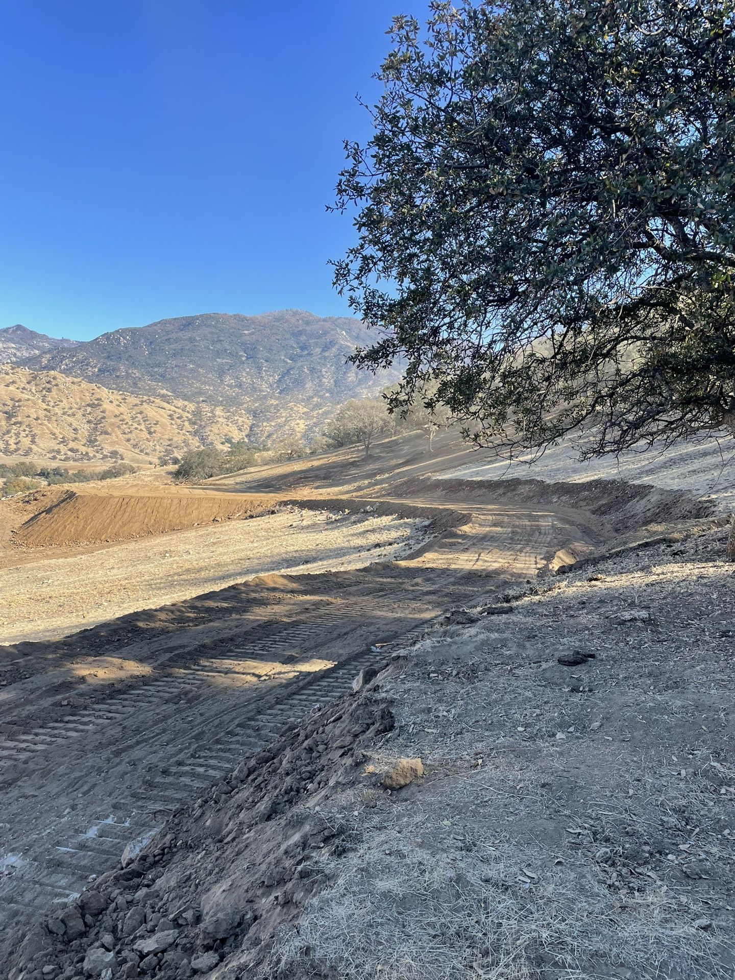 Rector‘S Dozer Work