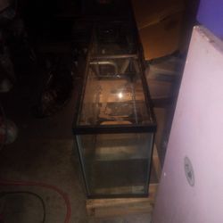 50 Gallon Aquarium