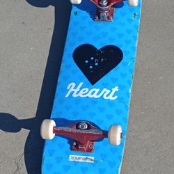 High Level Skateboard Setup