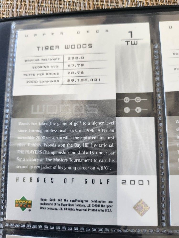 2001 Tiger Woods