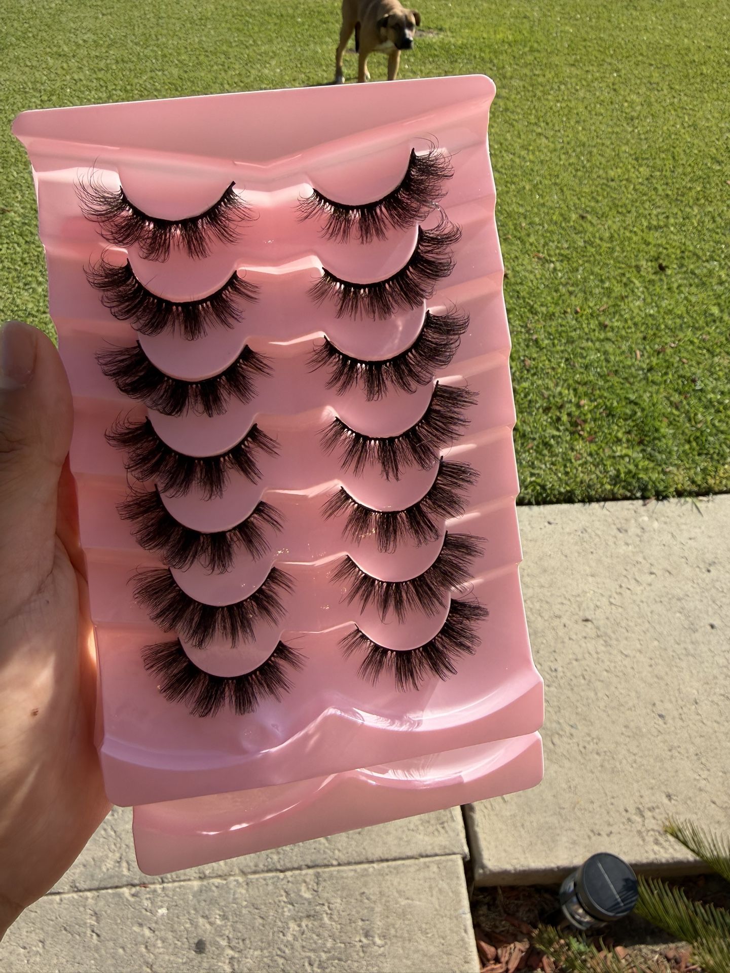 New Eyelashes 10 Pairs