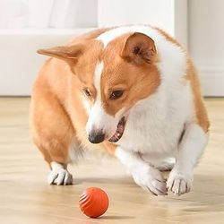Smart Dog Toy Ball Automatic Moving Bouncing Rolling For Dog

Cat Ball Toy Y8Z1